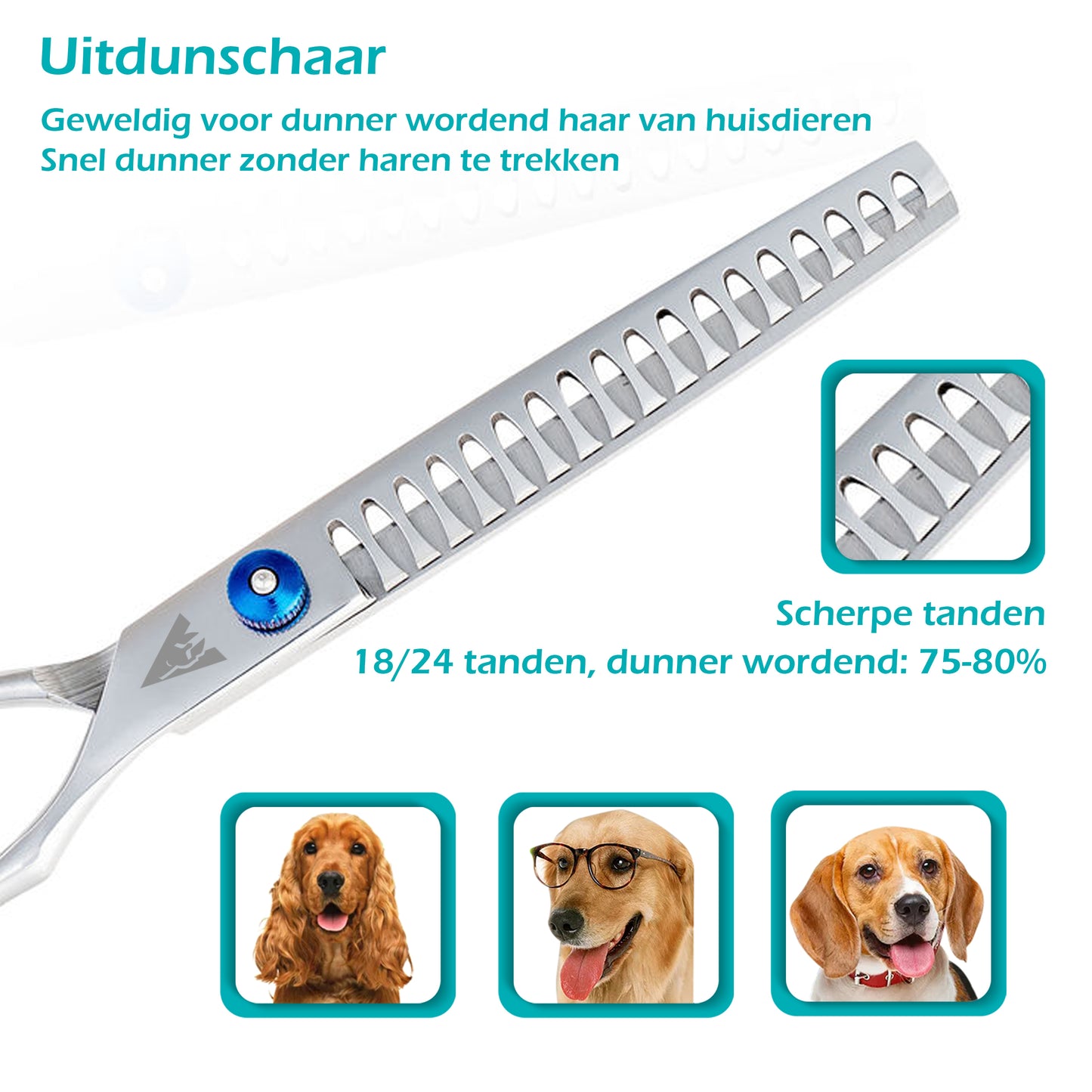 Achilles Hondenschaar