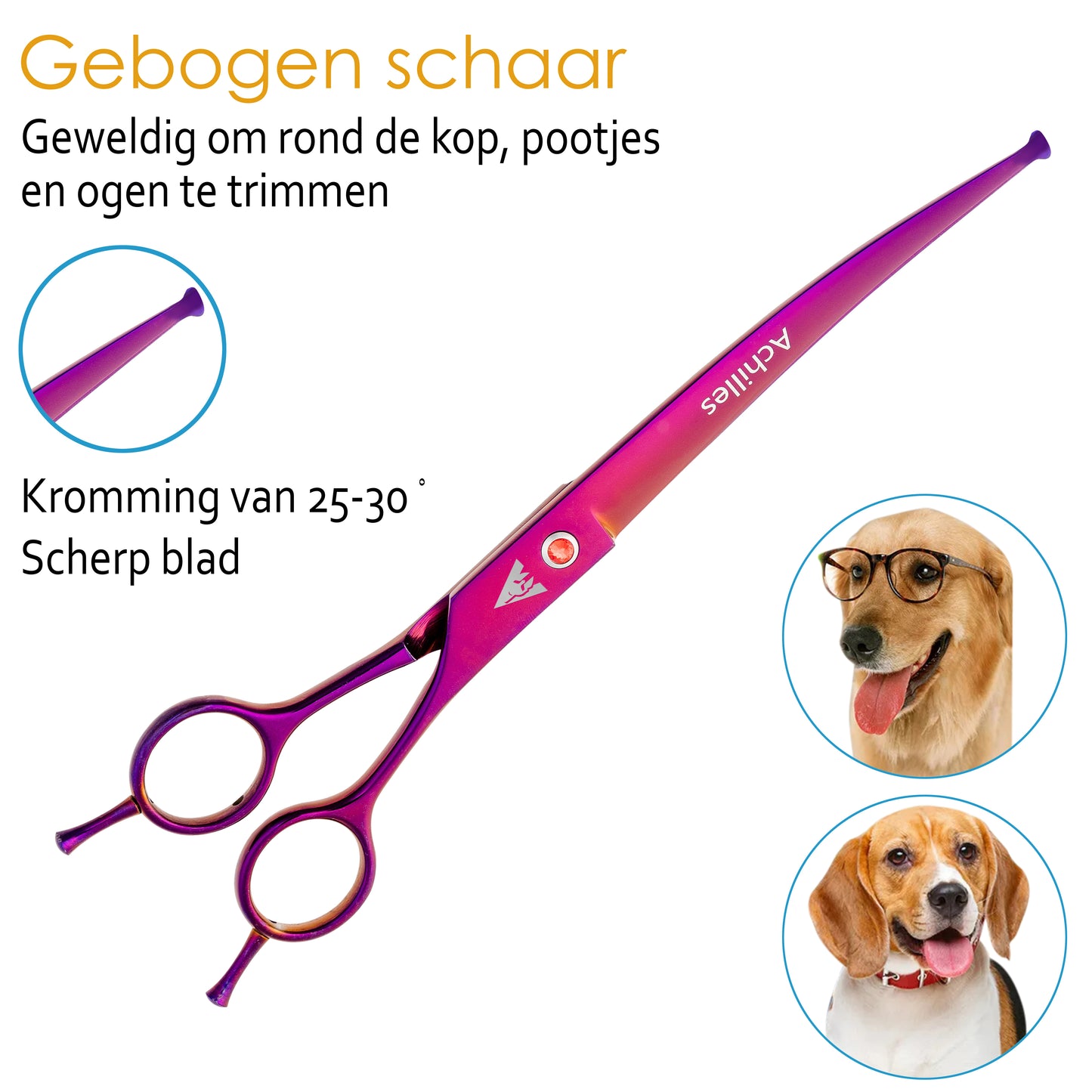Achilles hondenschaar