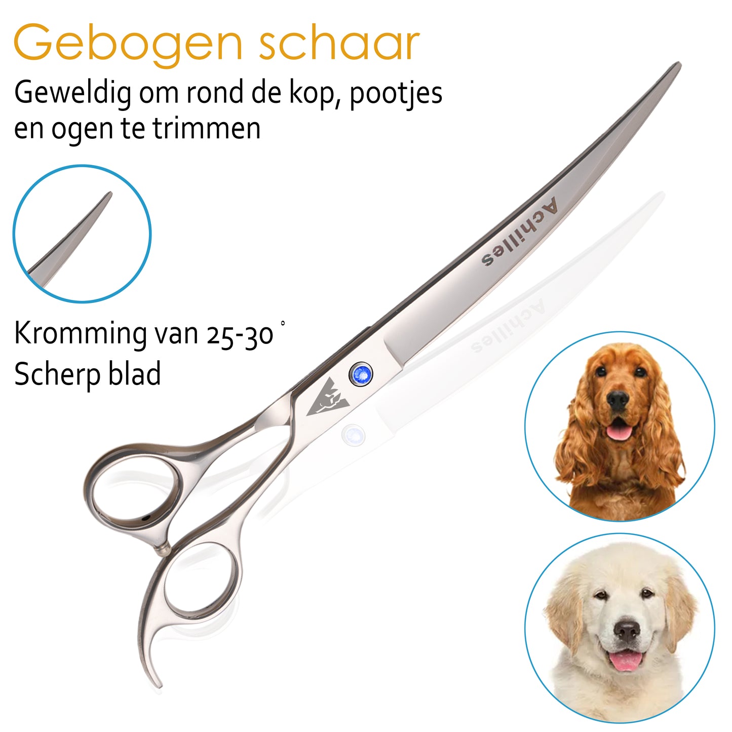 Achilles Hondenschaar