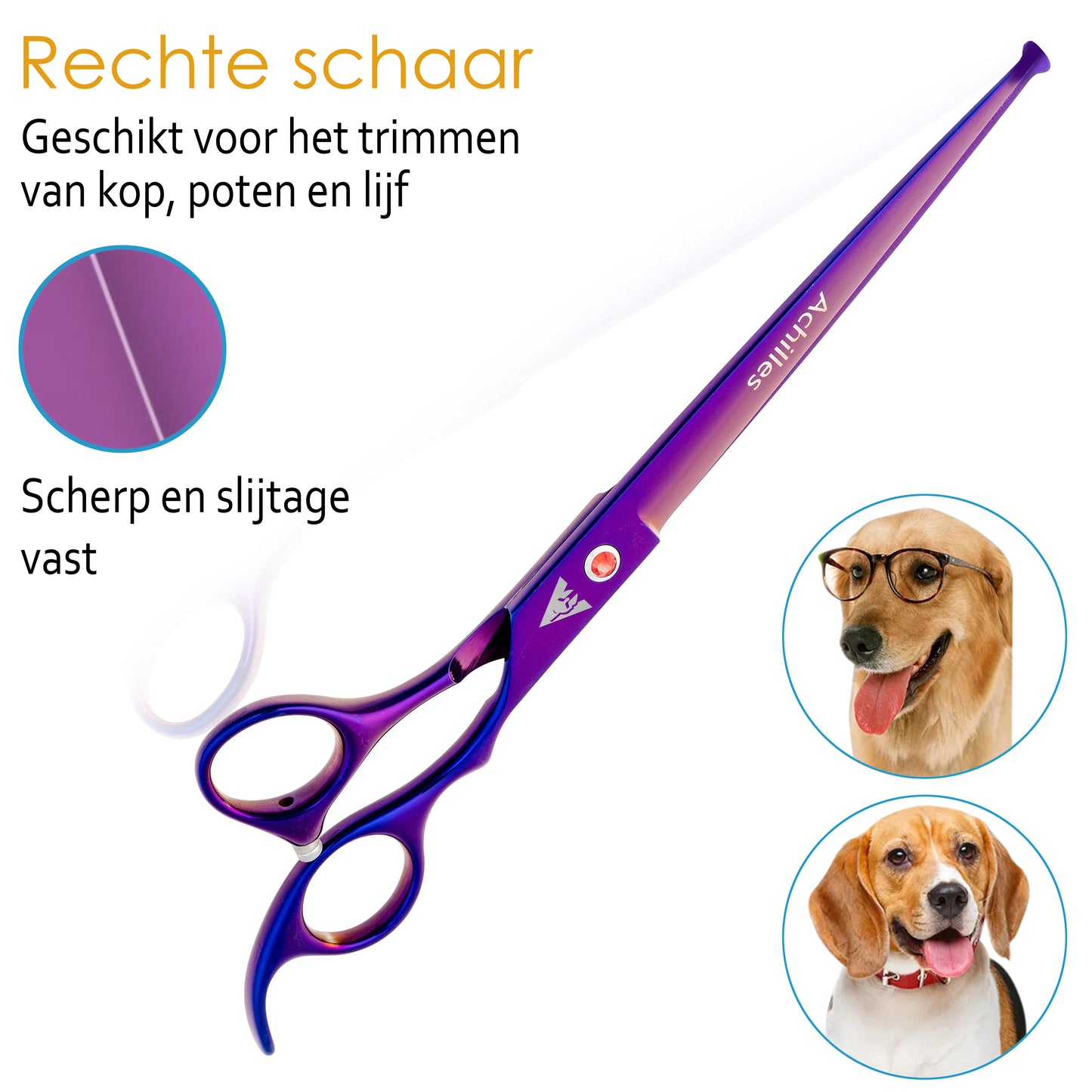 Achilles hondenschaar