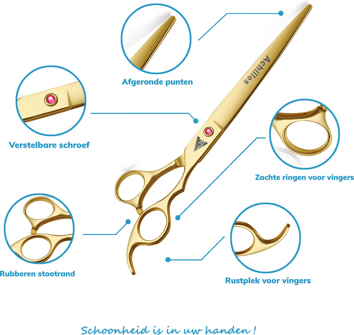 Achilles hondenschaar