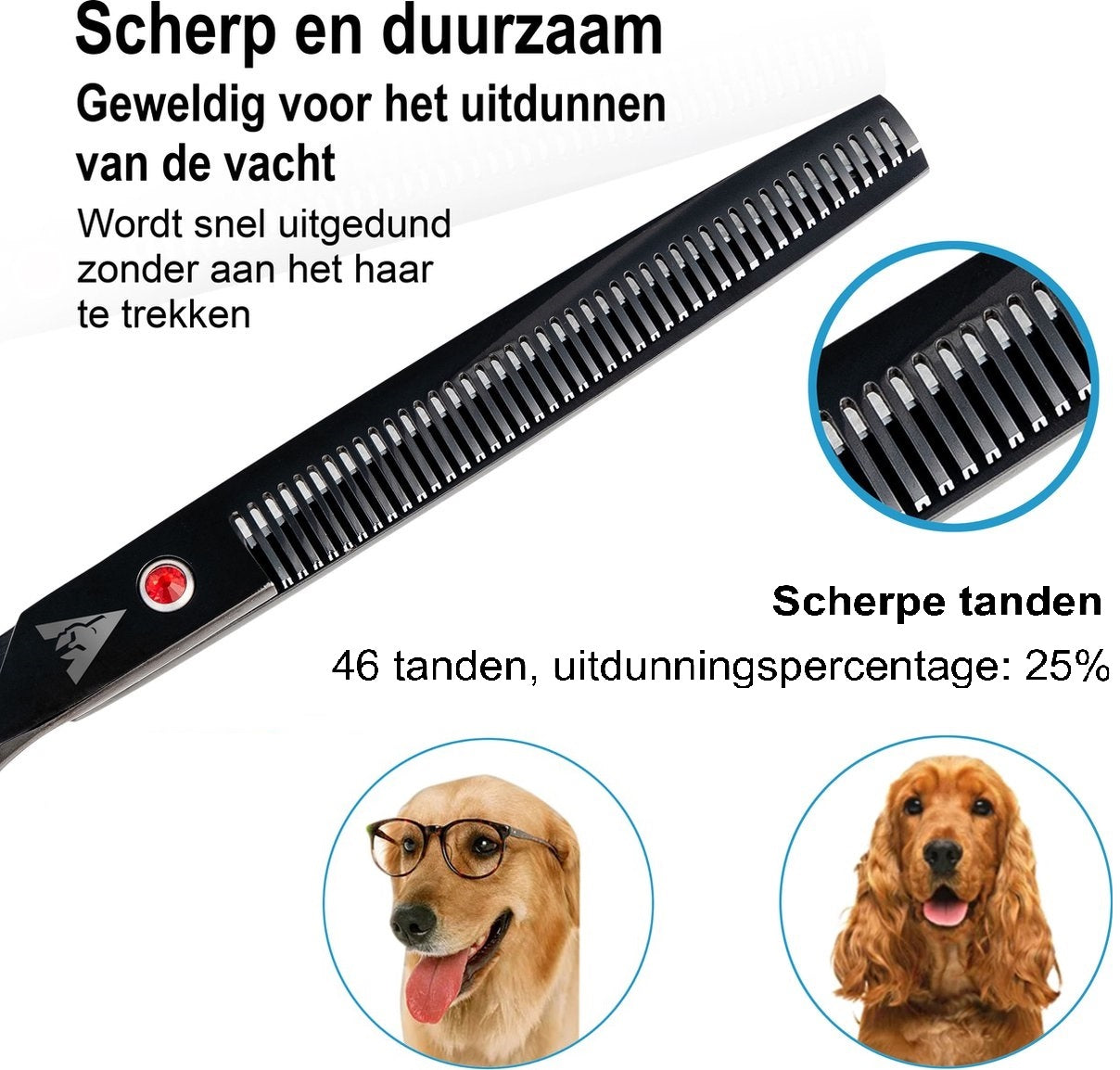 Achilles hondenschaar