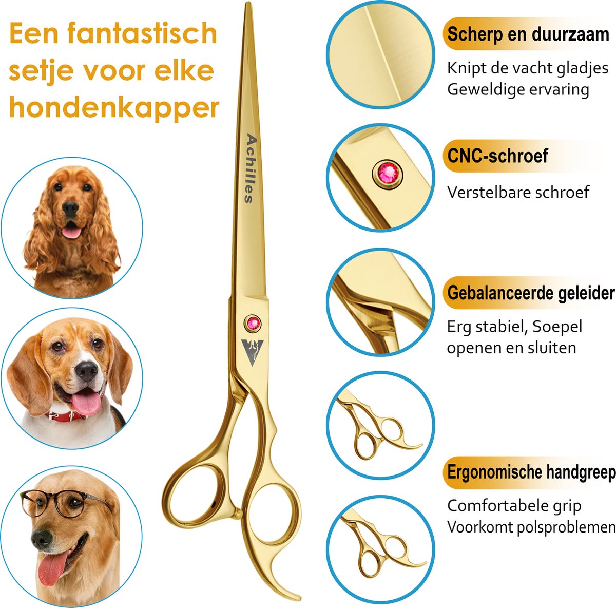 Achilles hondenschaar