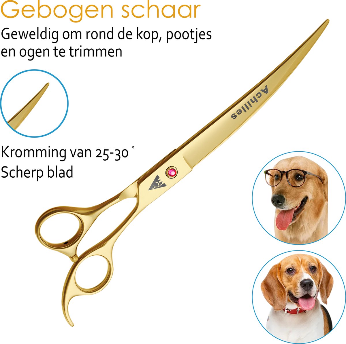Achilles hondenschaar