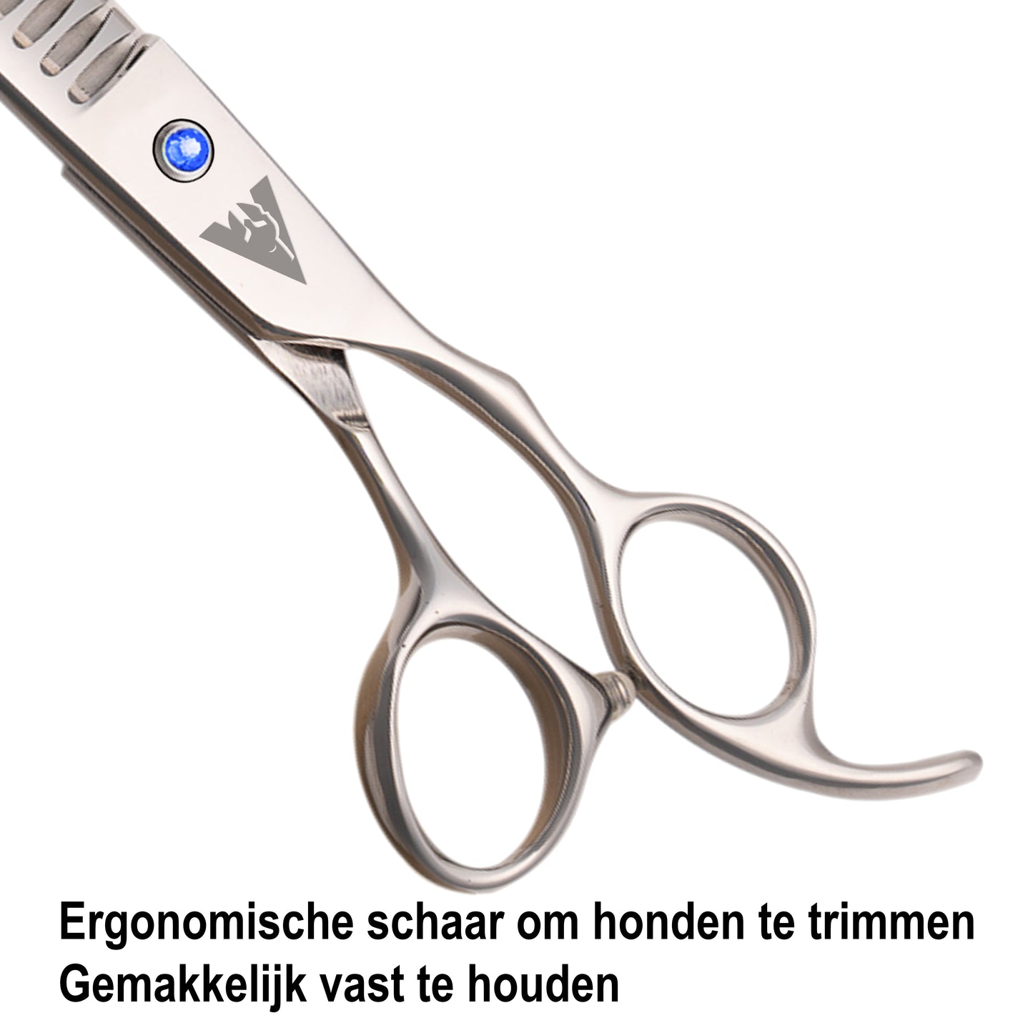 Achilles Hondenschaar