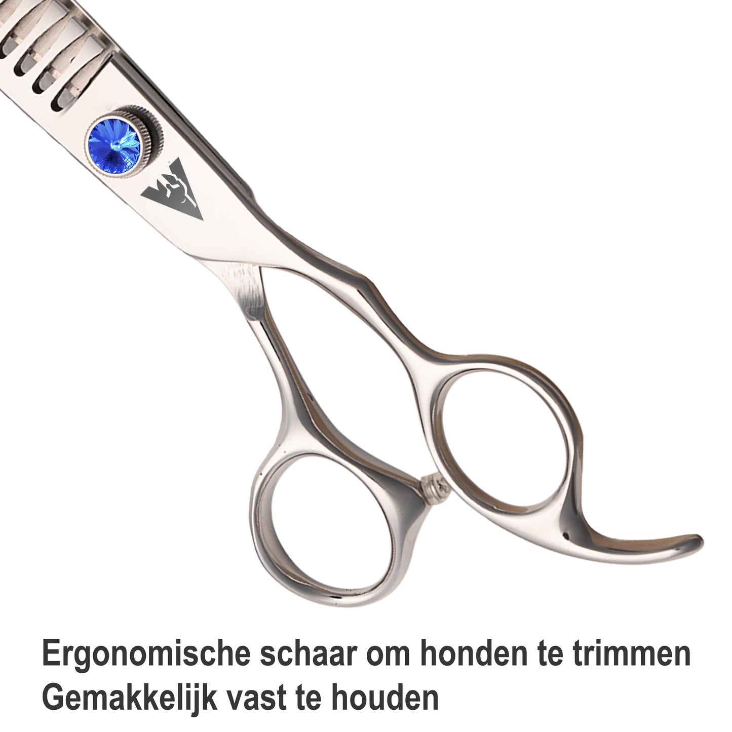 Achilles hondenschaar