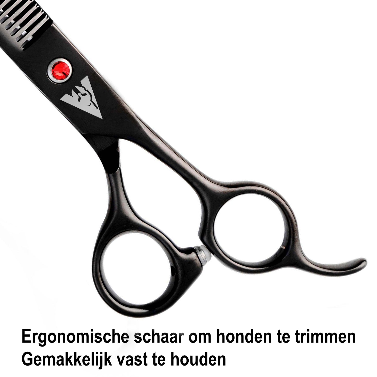 Achilles hondenschaar