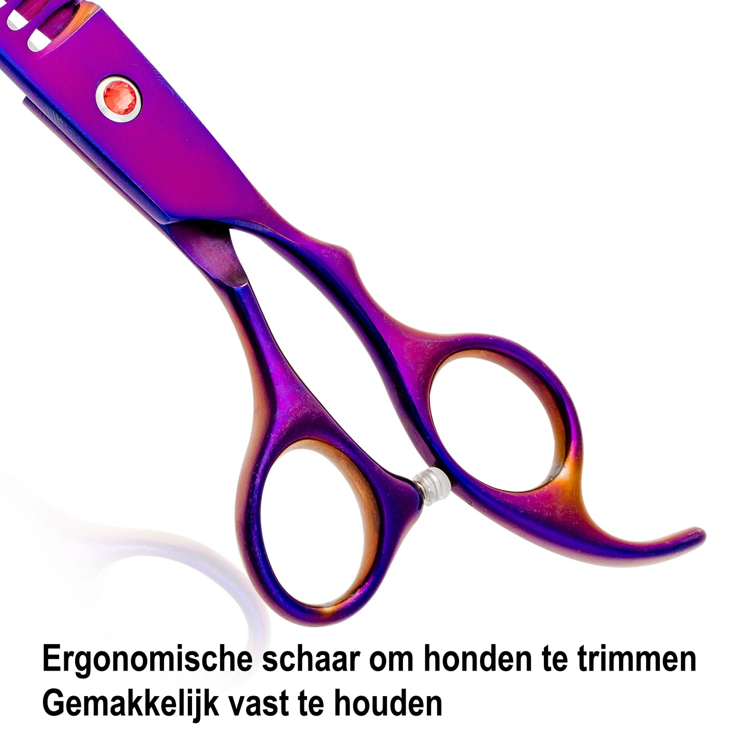 Achilles Hondenschaar