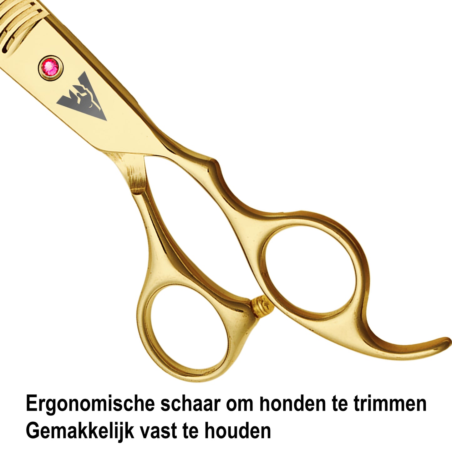 Achilles honden schaar