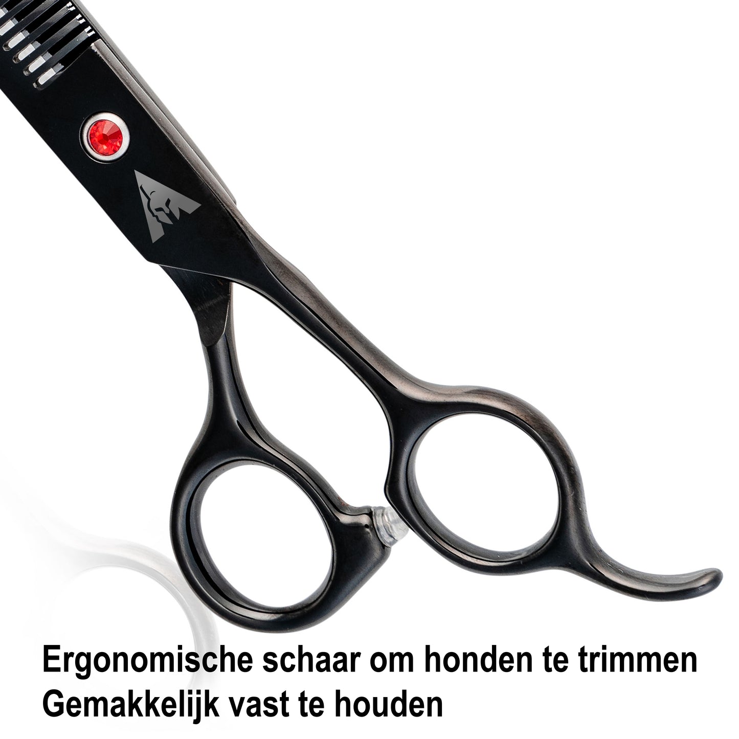 Achilles hondenschaar