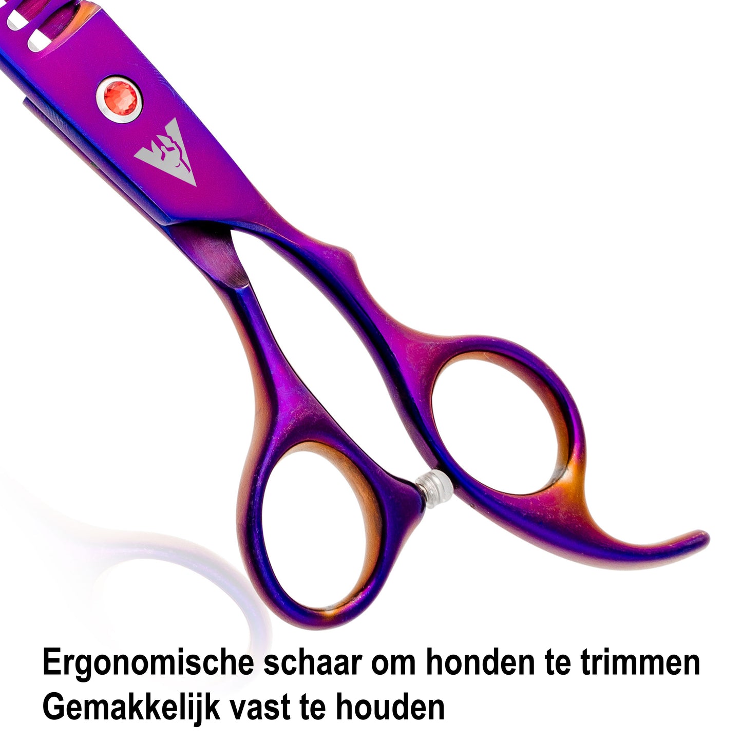Achilles hondenschaar