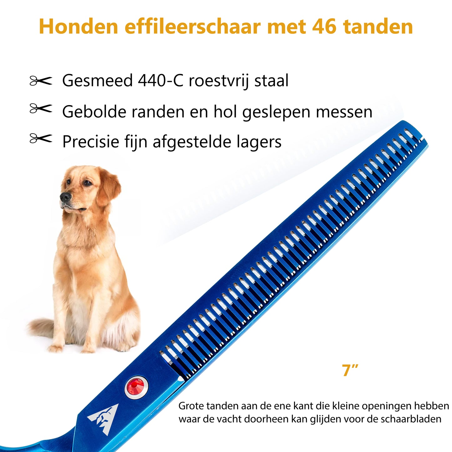 Achilles hondenschaar