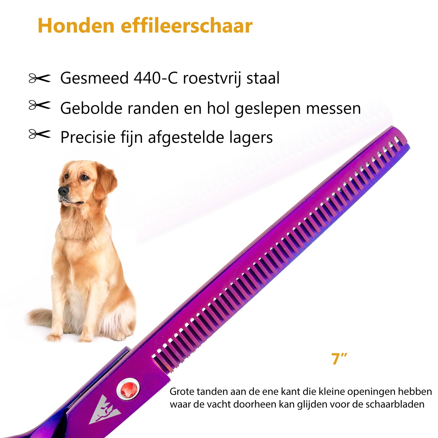 Achilles hondenschaar