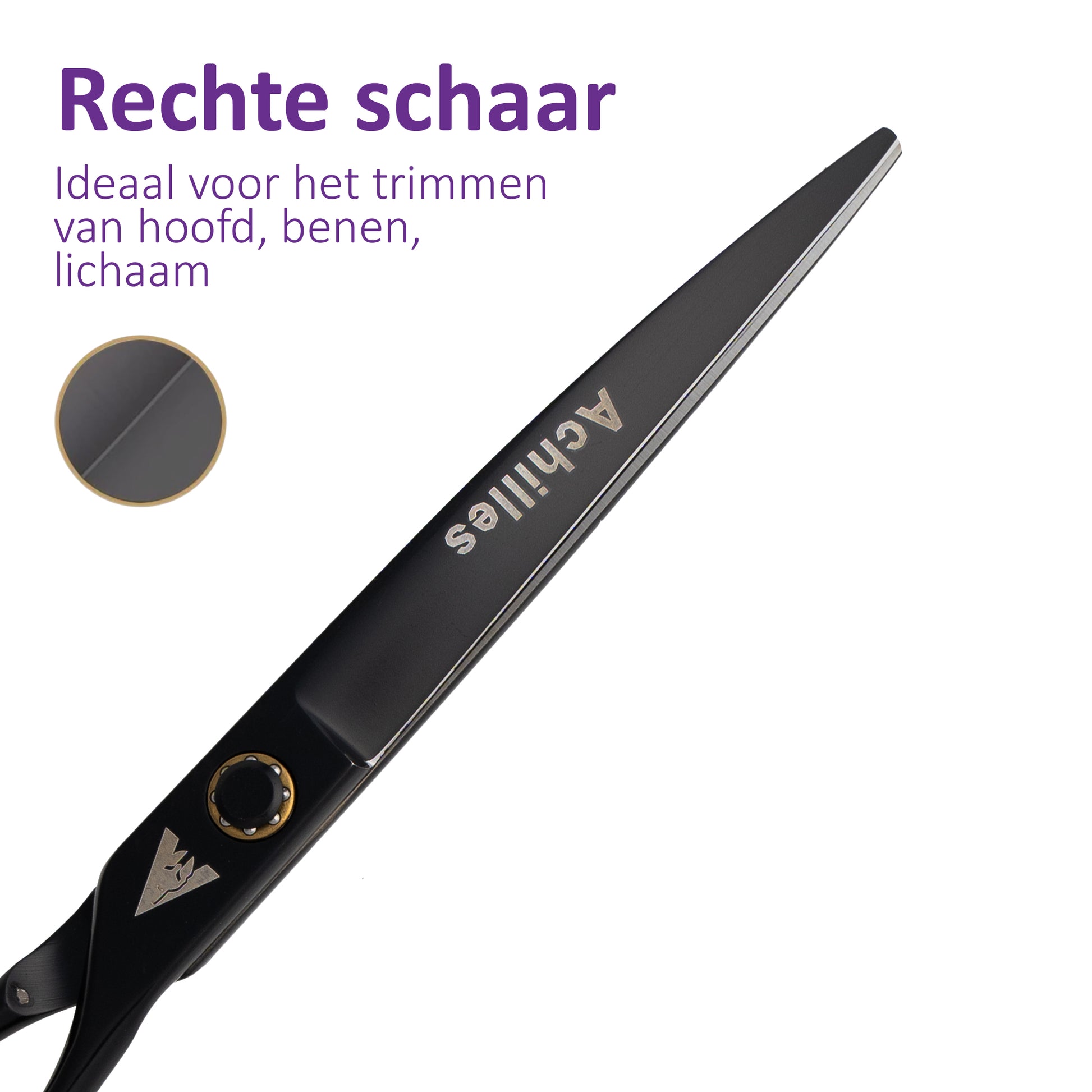 Achilles hondenschaar