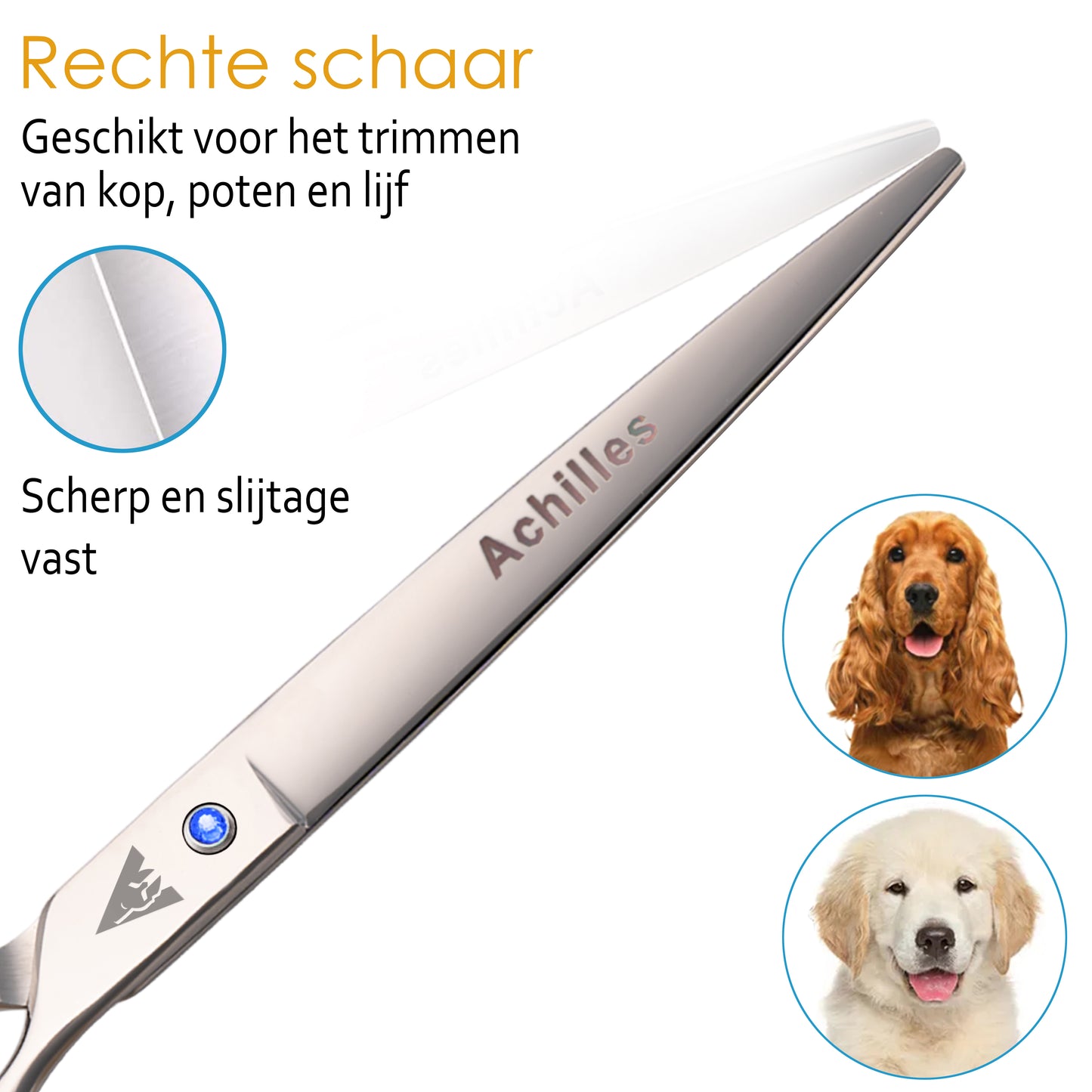 Achilles Hondenschaar