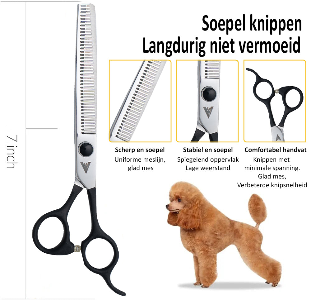 Achilles hondenschaar