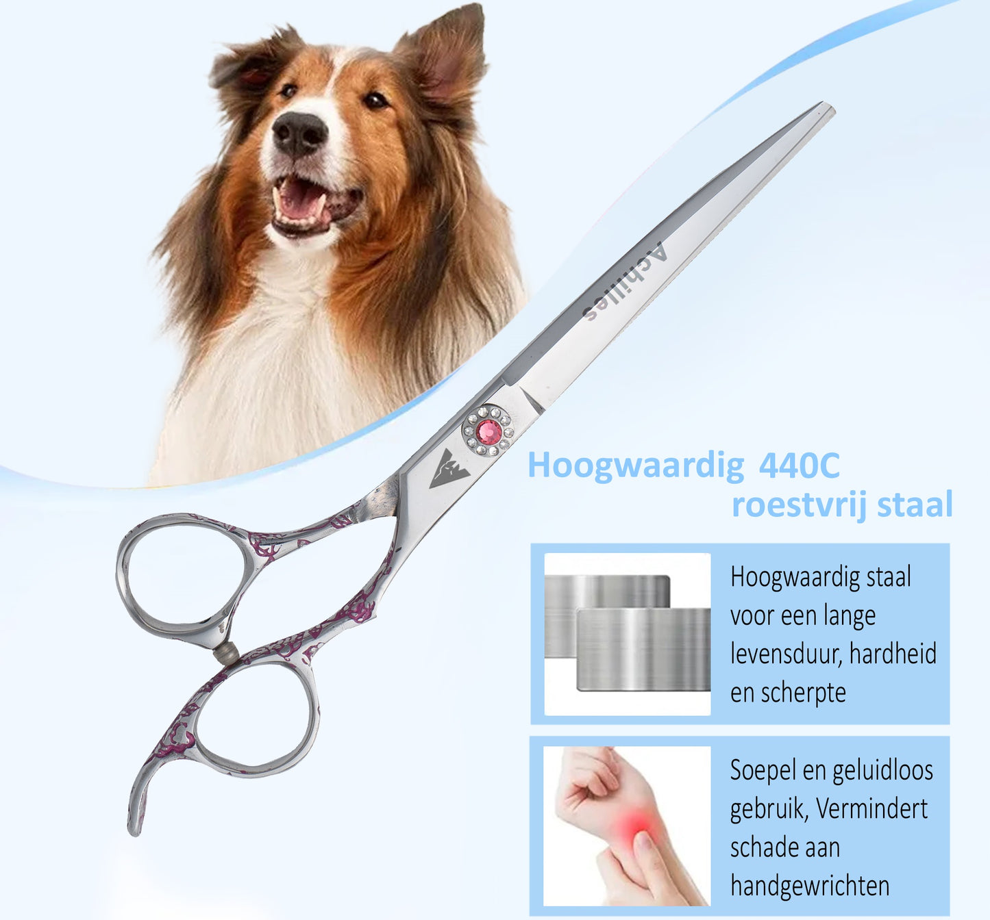 Achilles hondenschaar