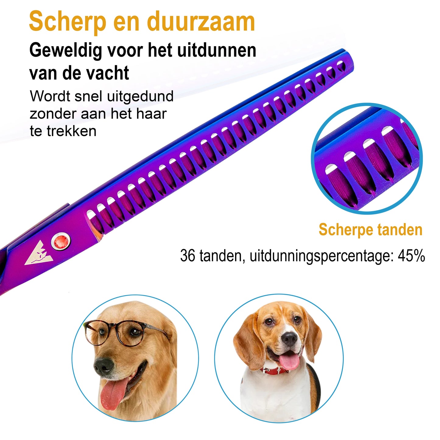 Achilles® Professionele 8-Delig Scharenset Hond