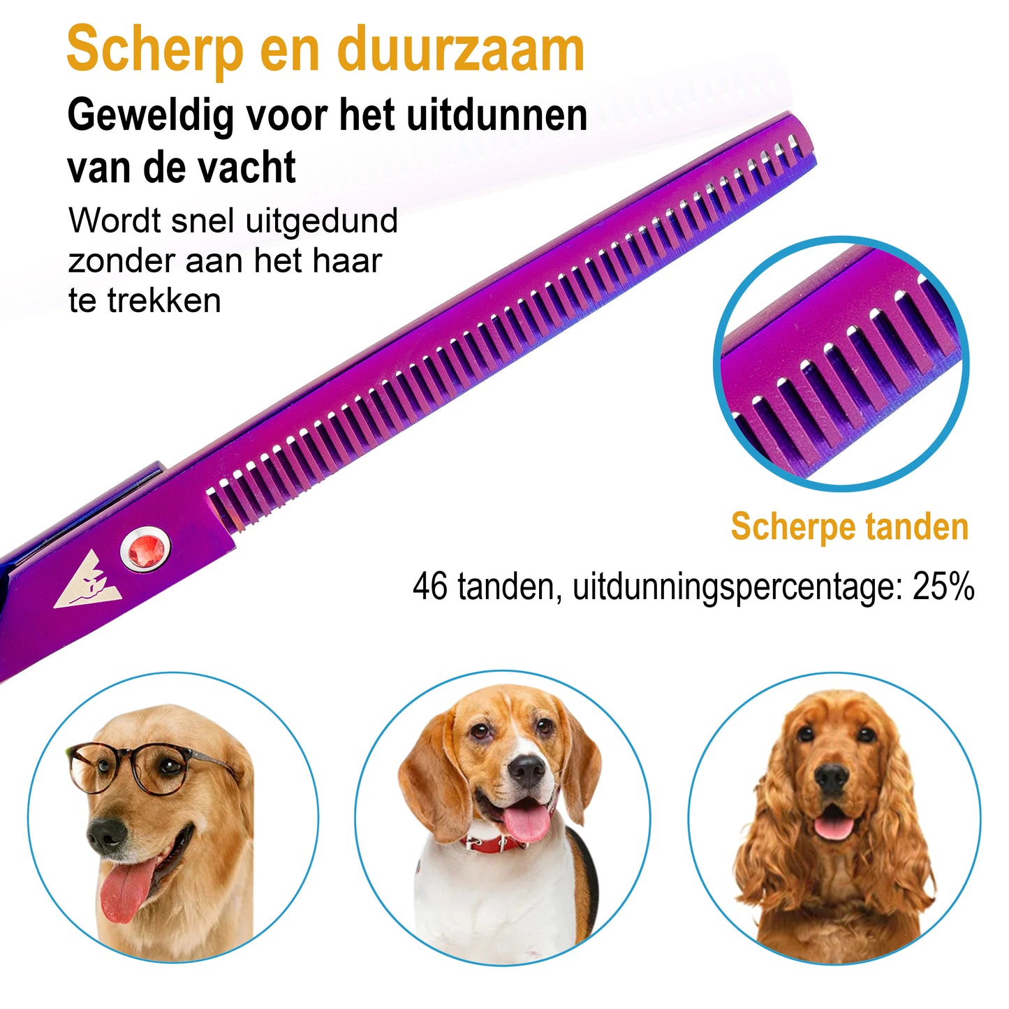 Achilles® Professionele 8-Delig Scharenset Hond
