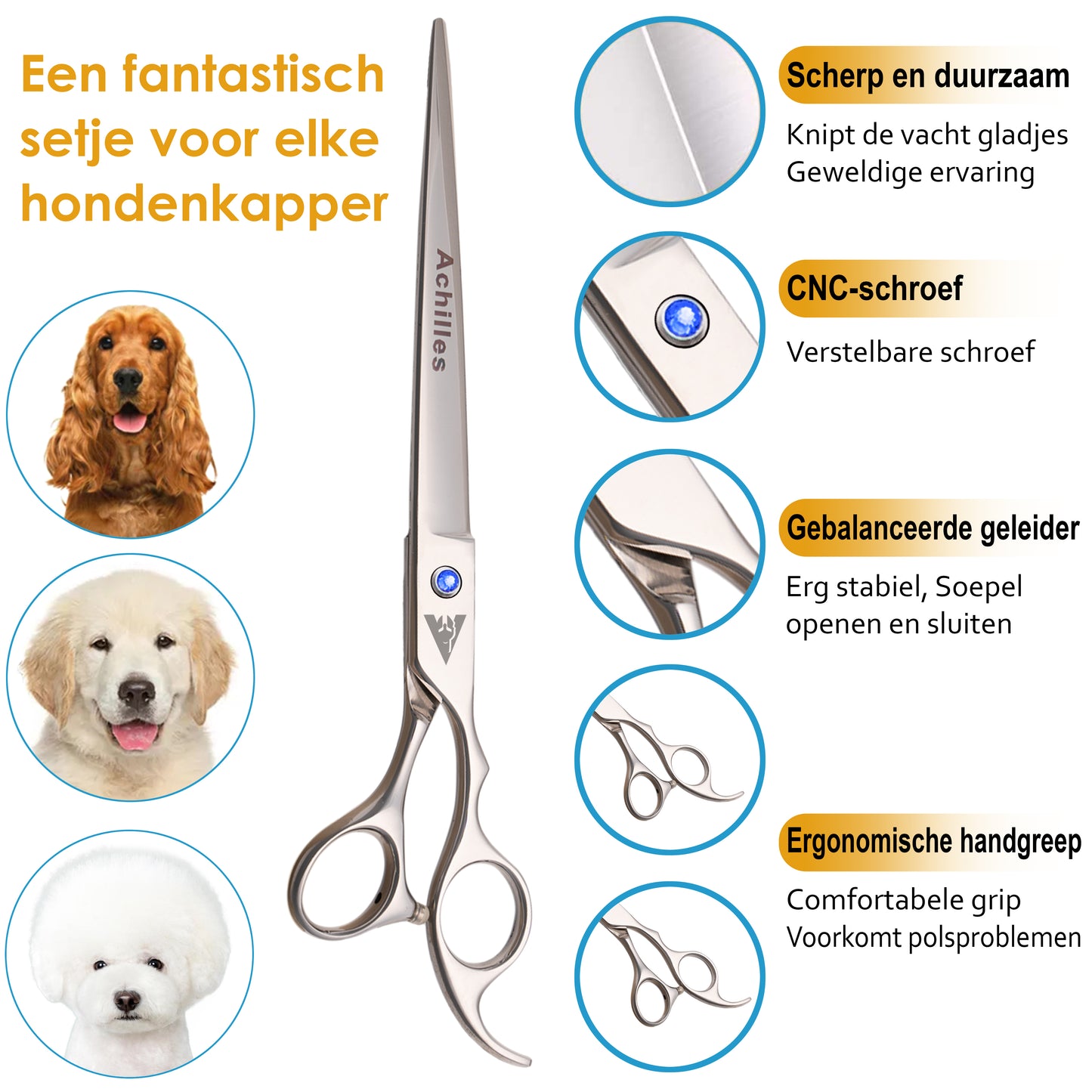 Achilles Hondenschaar