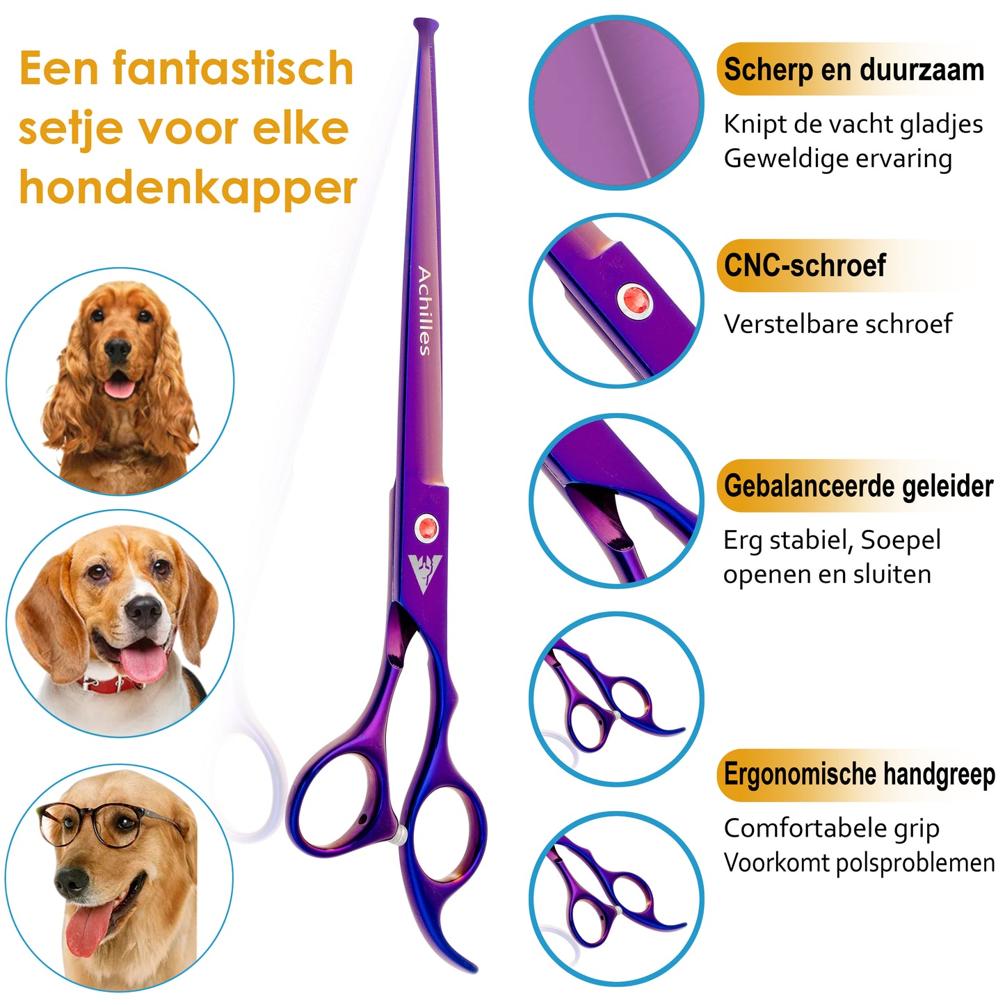 Achilles hondenschaar