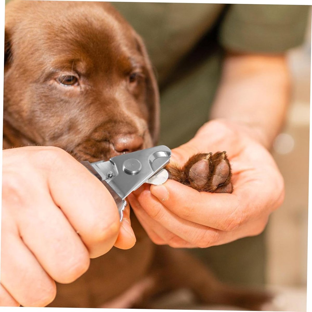 Achilles® Texas Wood Nagelschaar - Nagelschaar Kat - Nagelschaar Hond Nagelknipper Hond & Kat
