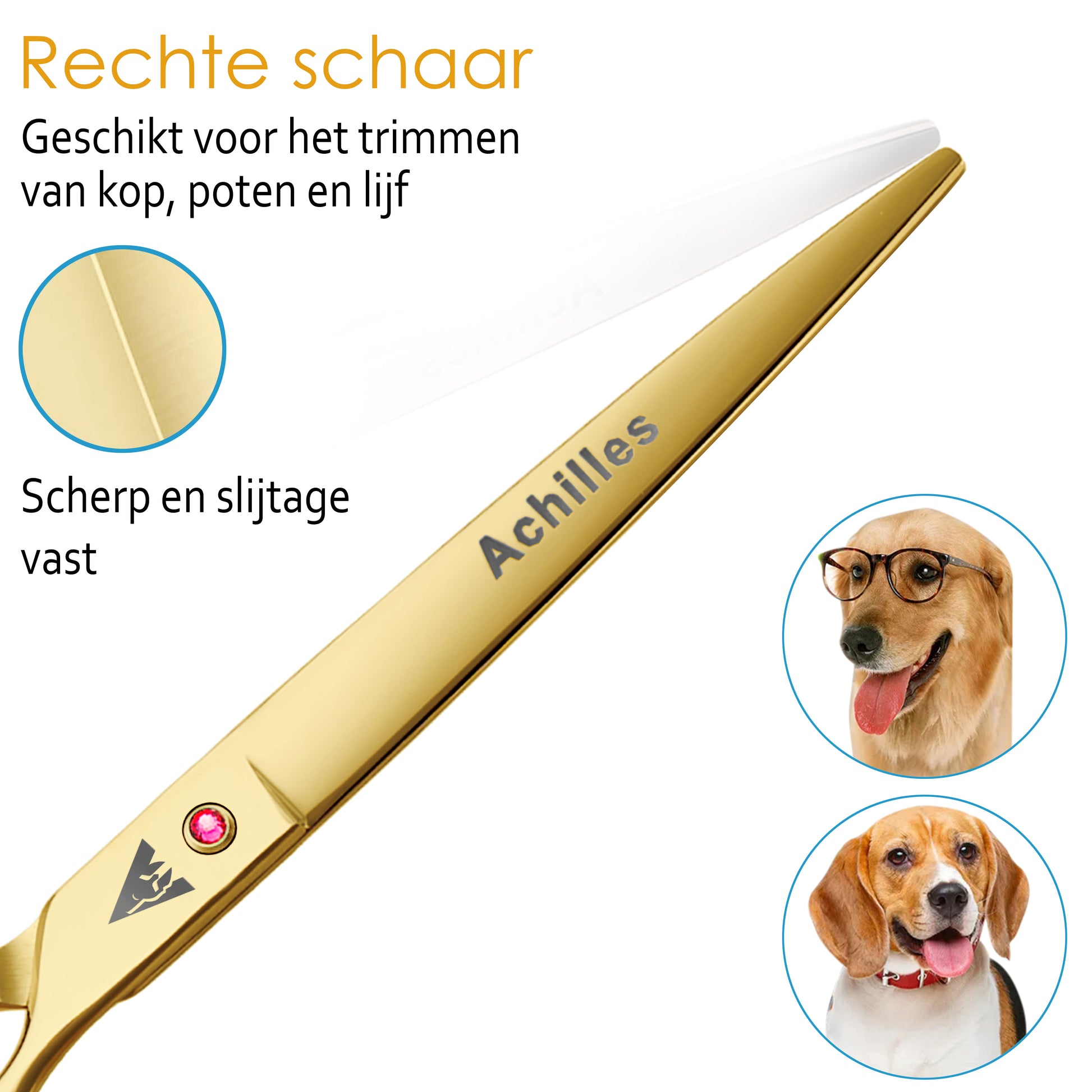 Achilles® Professionele Scharenset Hond 7 INCH - Huisdier Knipset - Ho Achilles® Professionele Scharenset Hond 7 INCH - Huisdier Knipset - Ho