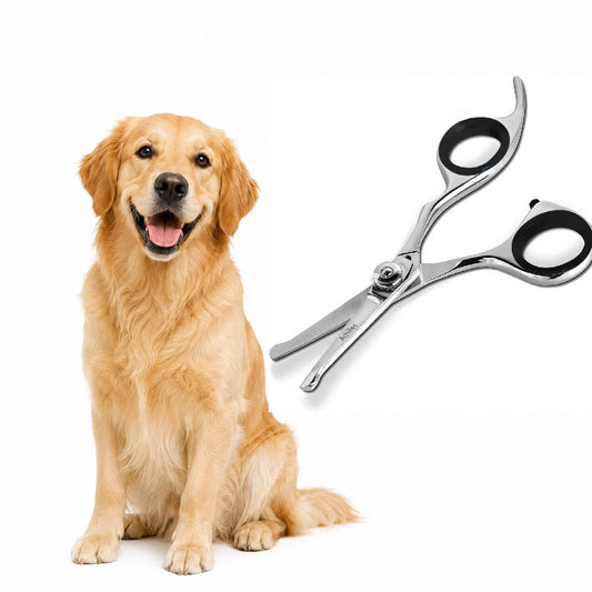 Achilles® Pootschaar voor Hond & Kat – 420J2 Japans Staal – Veiligheidstip – Voor Ogen en Voetjes