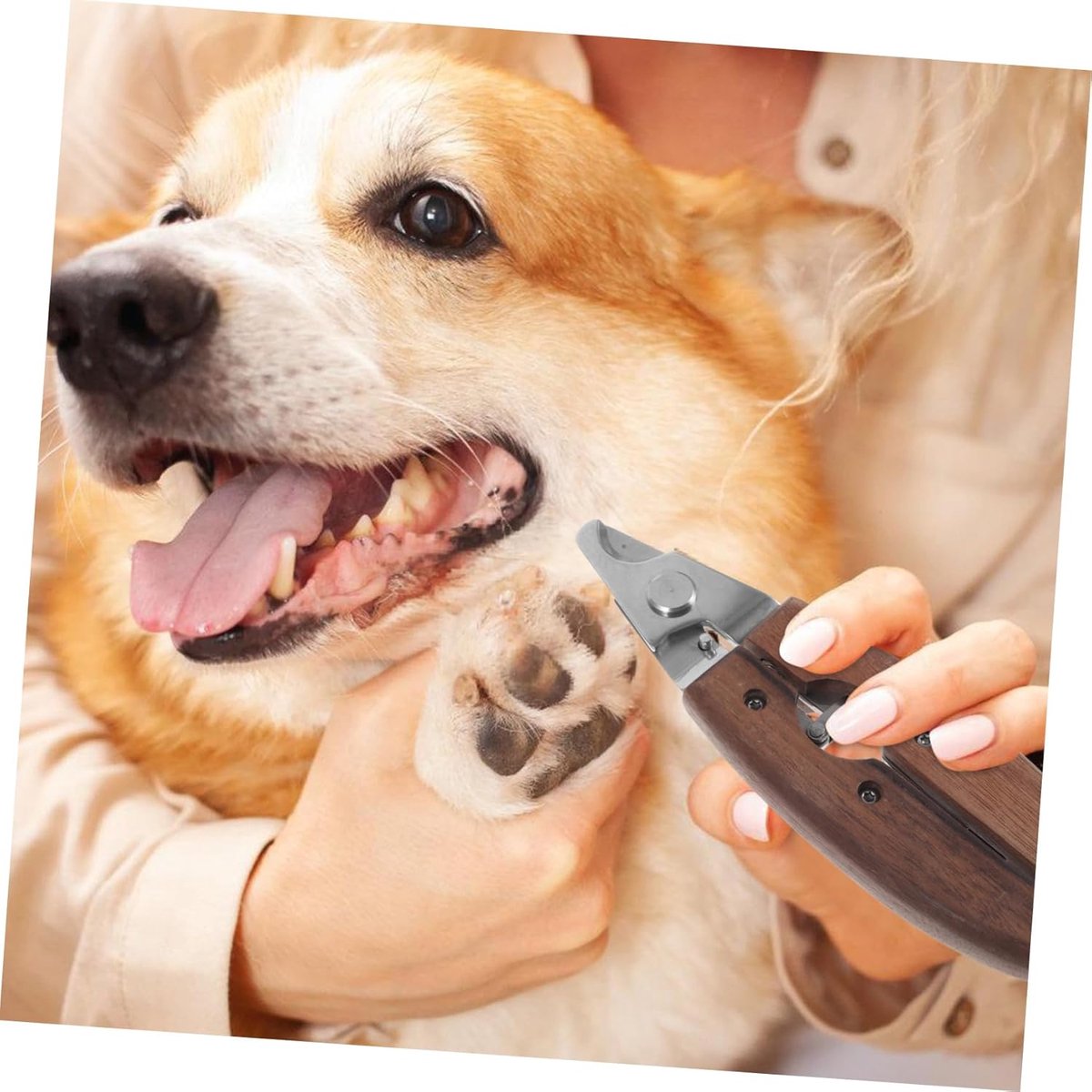 Achilles® Texas Wood Nagelschaar - Nagelschaar Kat - Nagelschaar Hond Nagelknipper Hond & Kat