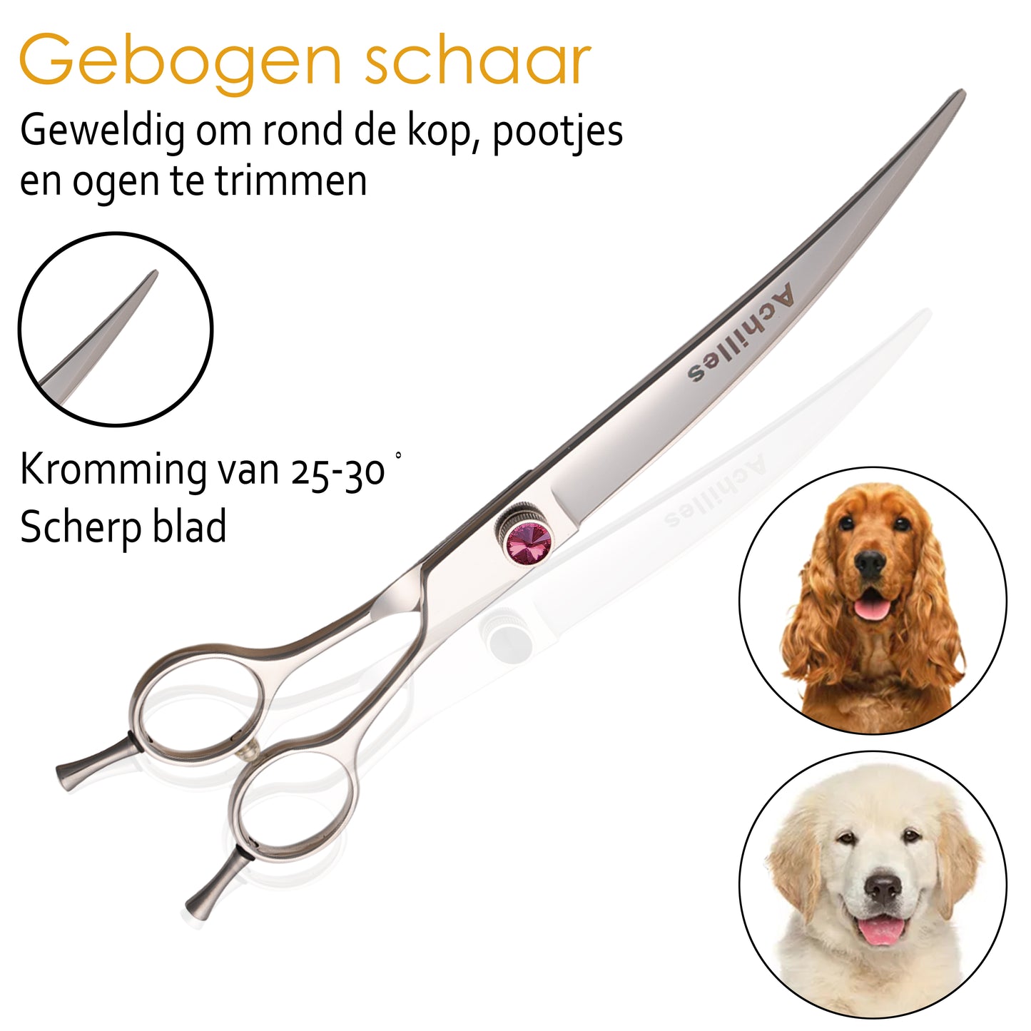 Scharenset Hond