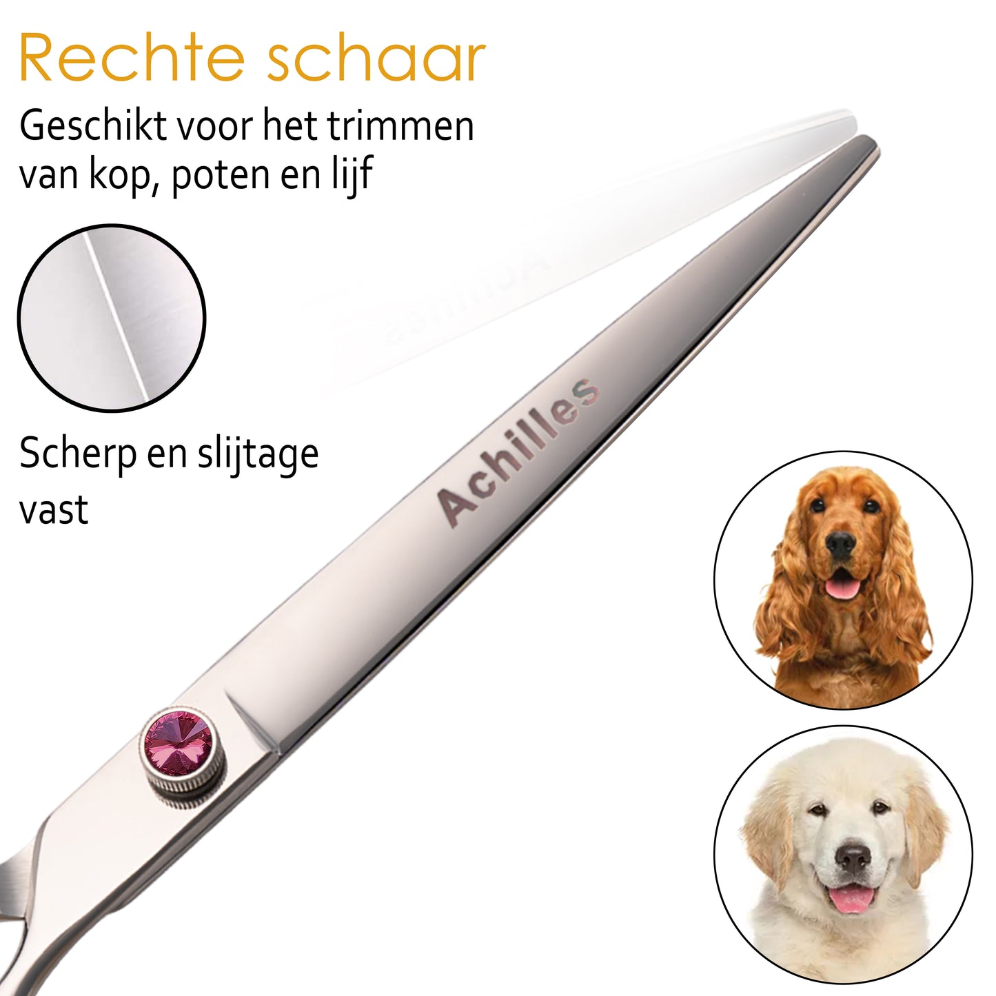 Scharenset Hond