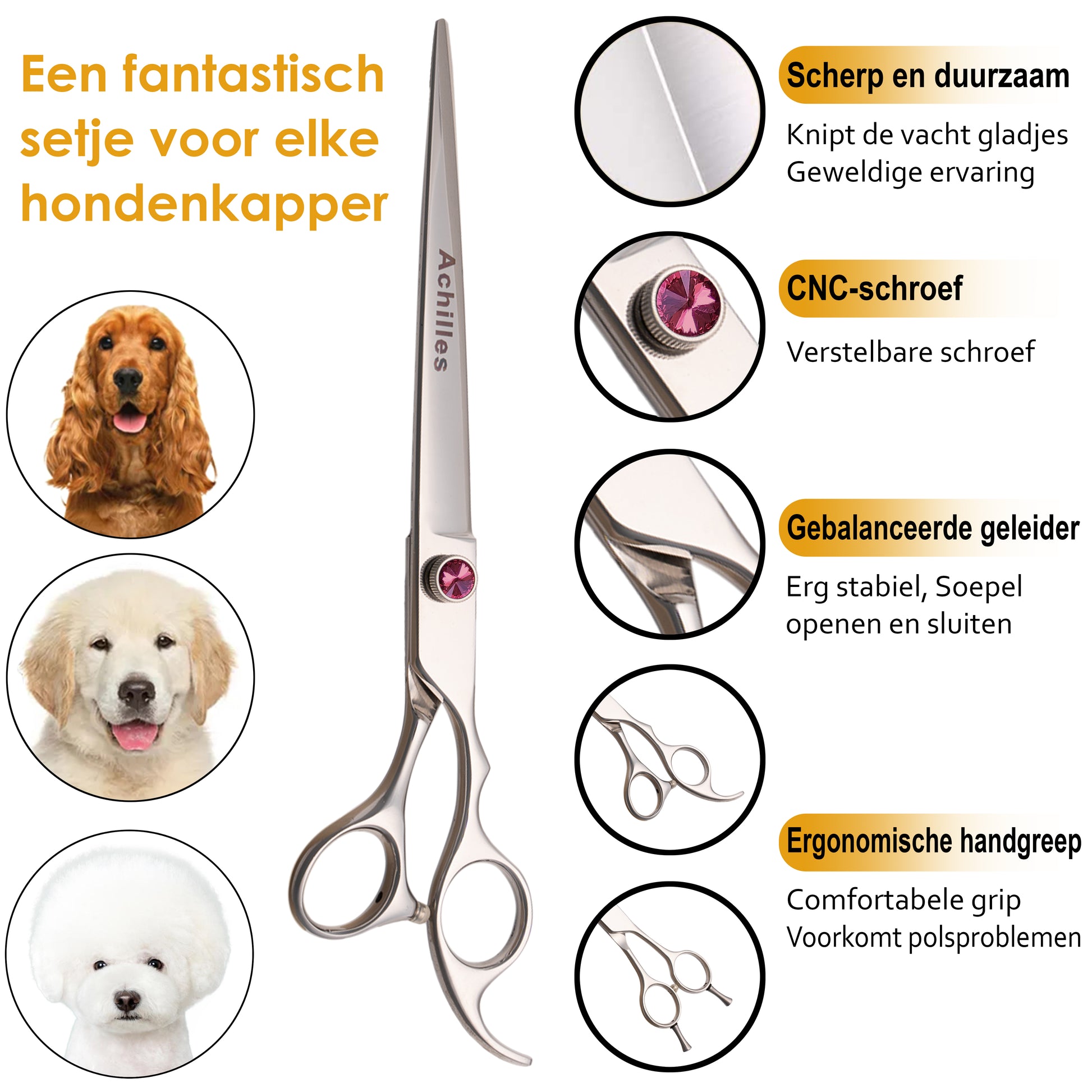 Scharenset Hond